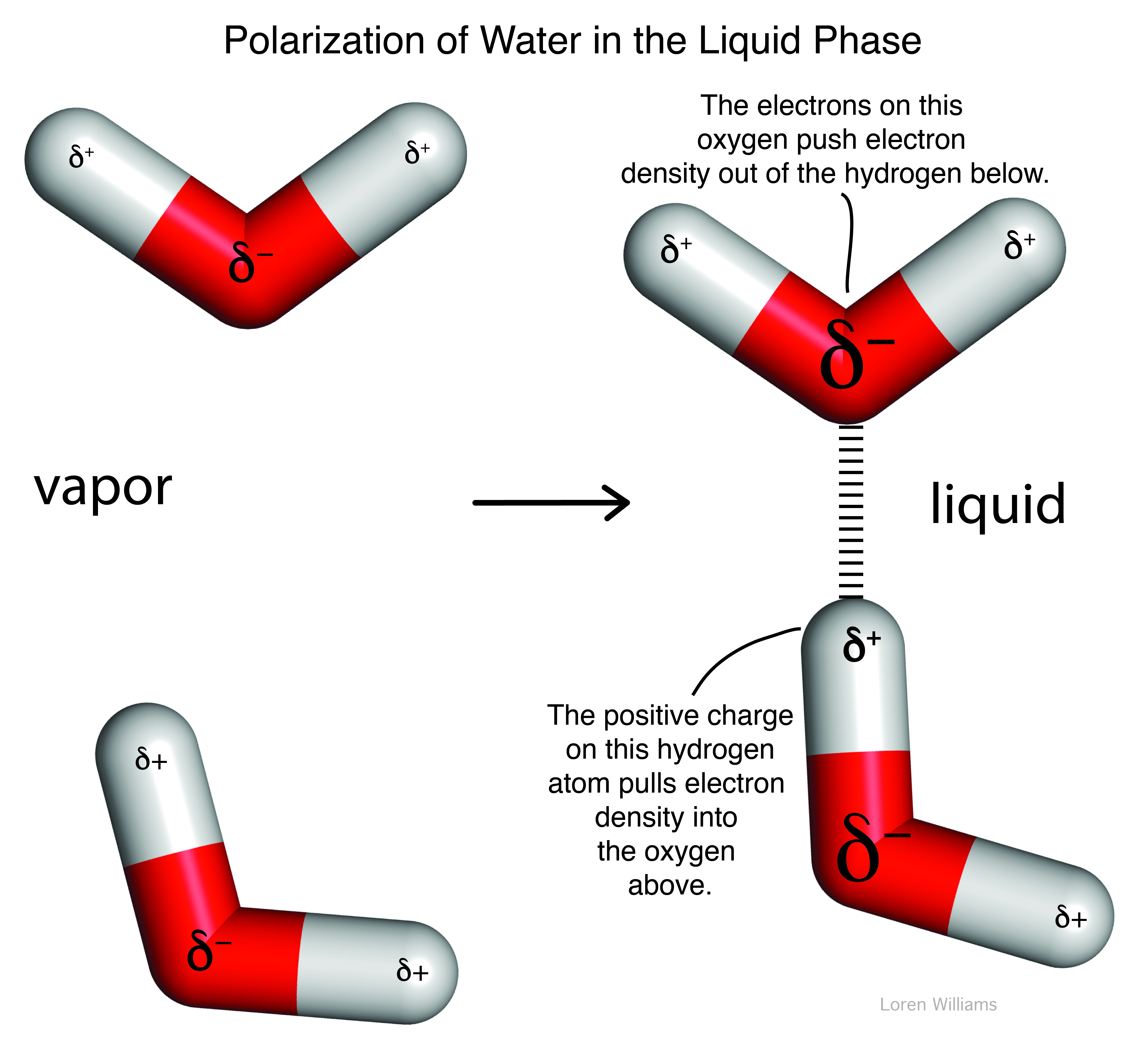 water polarization